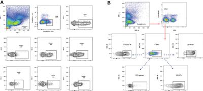 Comparison of NK cell subsets, receptors and functions induced by radiofrequency ablation and microwave ablation in HBV-associated primary hepatocellular carcinoma